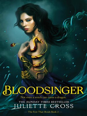 cover image of Bloodsinger